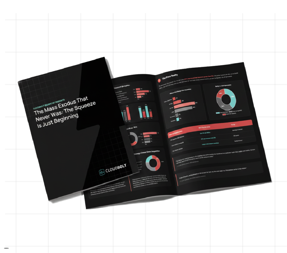 Cover image of CII report: The mass exodus that never was
