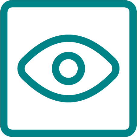 Icon of eye in a box