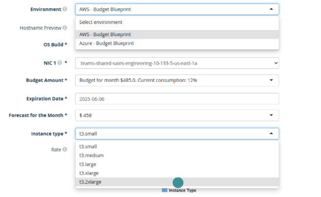 CloudBolt blueprint order form with governance parameters enforced at submission.