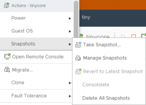VMware Snapshot: Best Practices & Examples